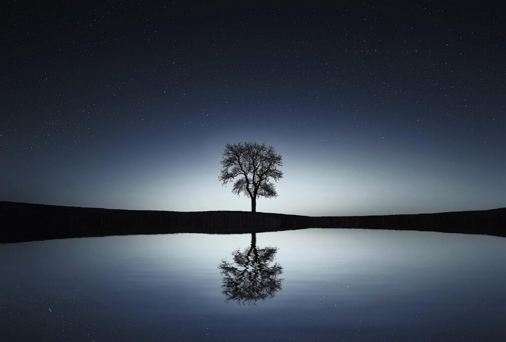 Bessi via Pixabay, https://pixabay.com/pt/photos/rvore-lago-reflexo-cu-noturno-736881/